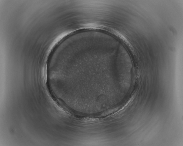 X0000112431323200909111022