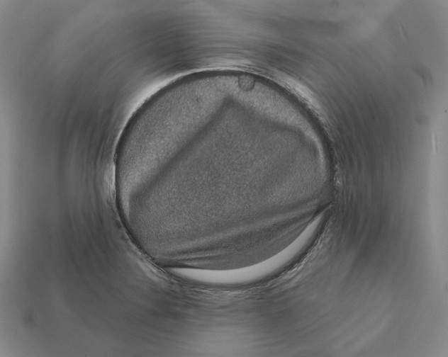 X0000112431324200909111022