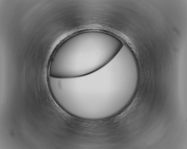 X0000112431326200909111022