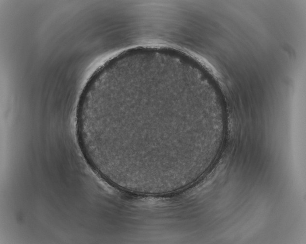 X0000112431327200909111022