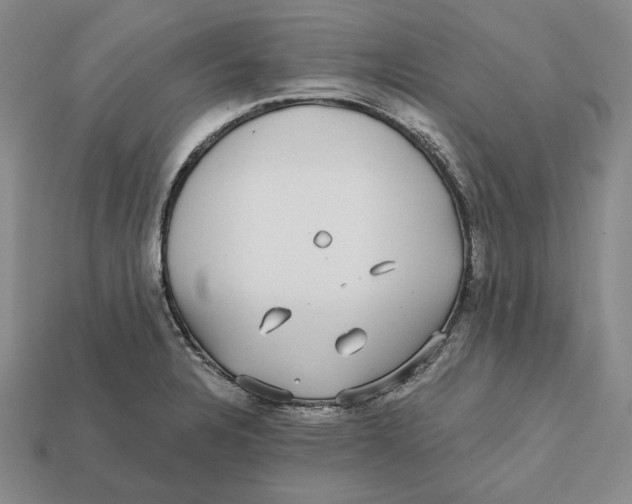X0000112431328200909111022