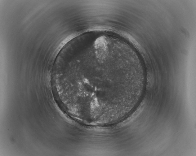 X0000112431329200909111022
