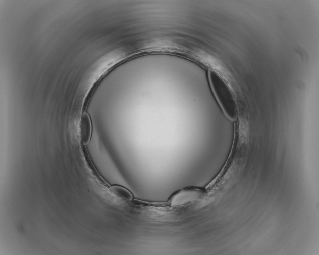 X0000112431330200909111022