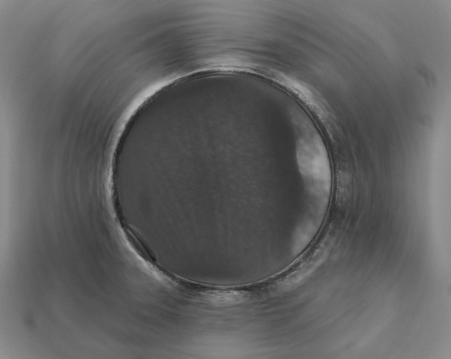 X0000112431331200909111022