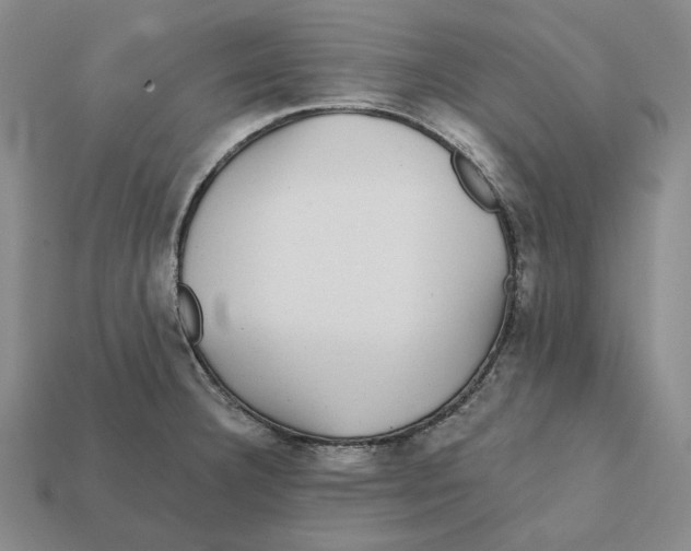 X0000112431332200909111022