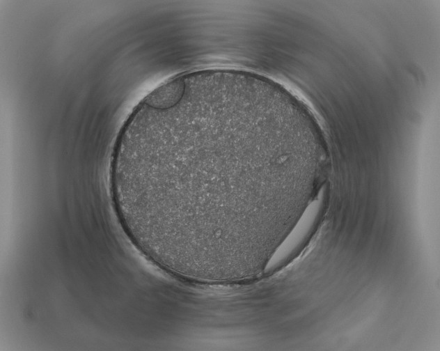 X0000112431333200909111022