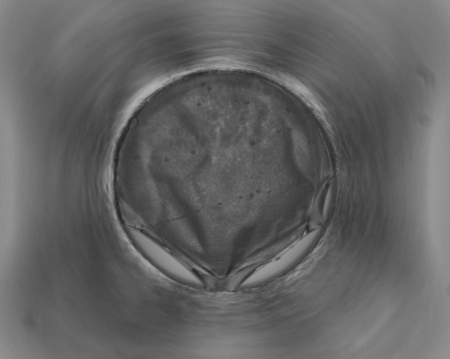 X0000112431334200909111022