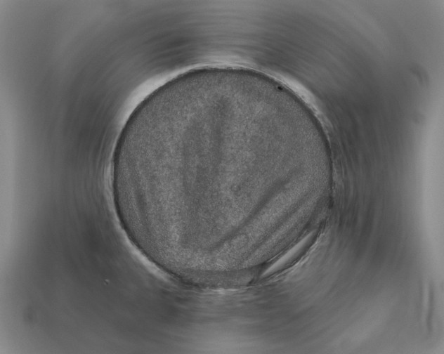 X0000112431335200909111022