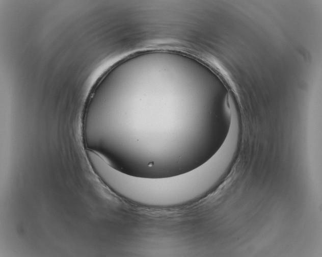 X0000112431336200909111022