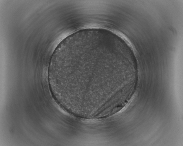 X0000112431337200909111022