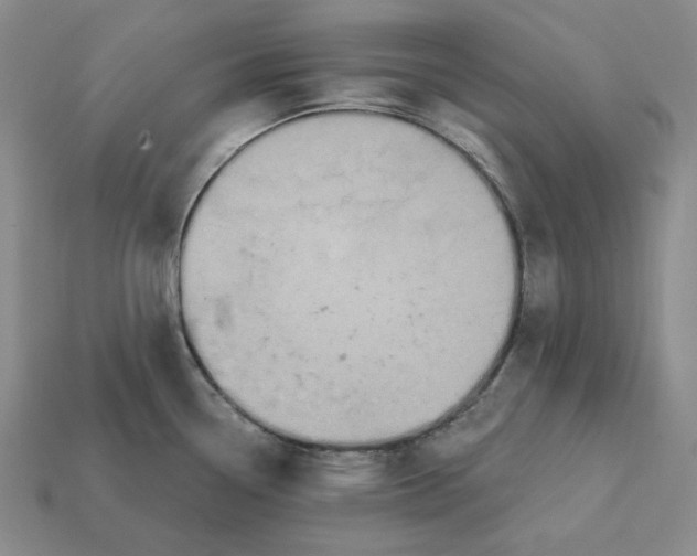 X0000112431338200909111022