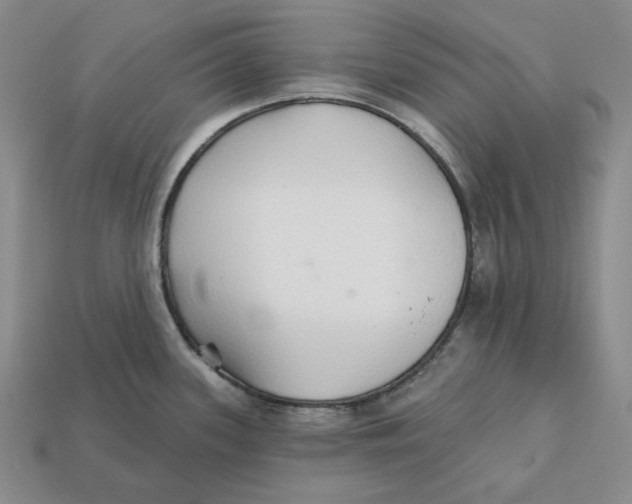 X0000112431339200909111022