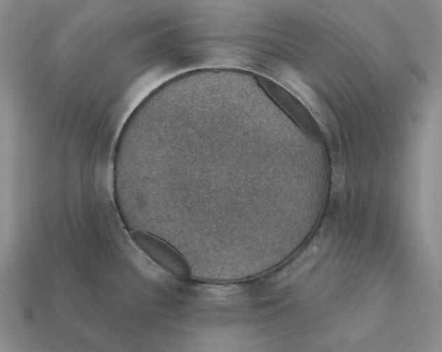 X0000112431340200909111022