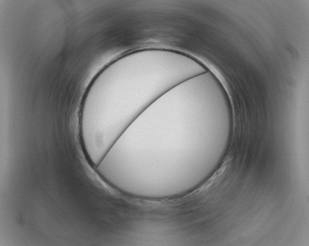 X0000112431341200909111022