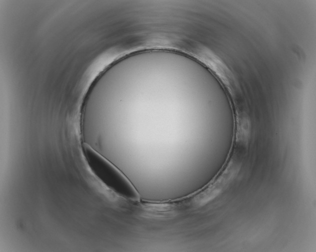 X0000112431342200909111022