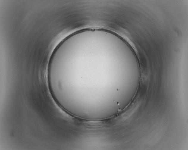 X0000112431343200909111022