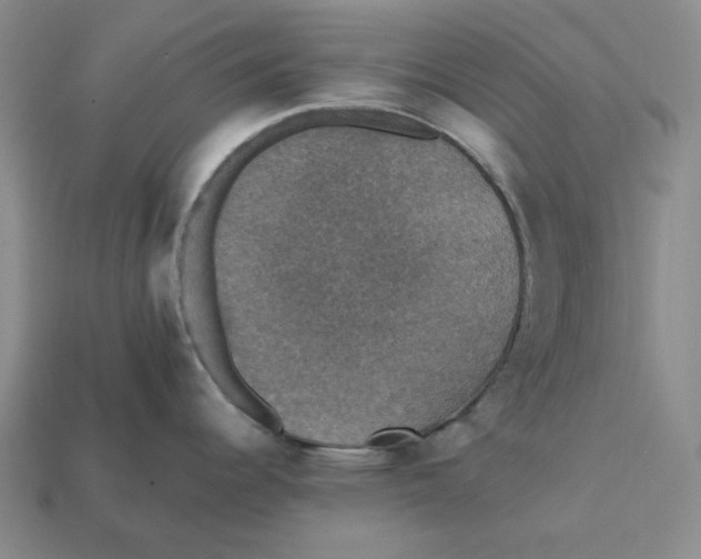 X0000112431344200909111022