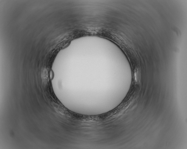 X0000112431347200909111022