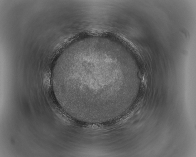 X0000112431348200909111022
