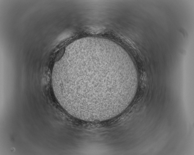 X0000112431349200909111022