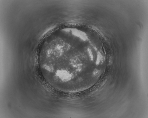 X0000112431350200909111022