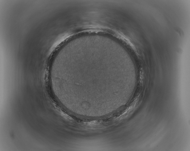 X0000112431352200909111022