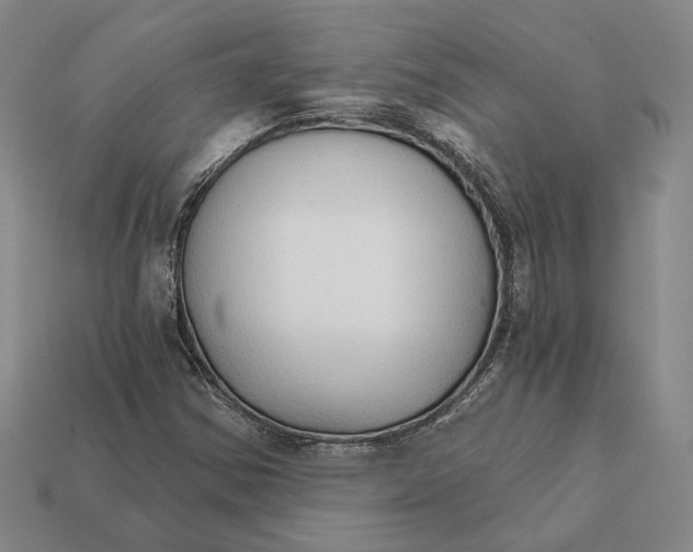 X0000112431354200909111022