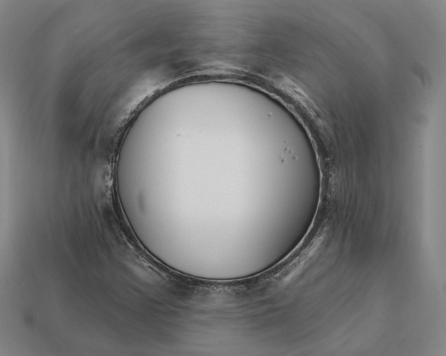X0000112431355200909111022