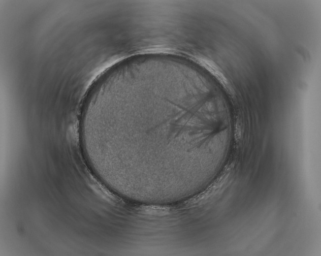 X0000112431356200909111022