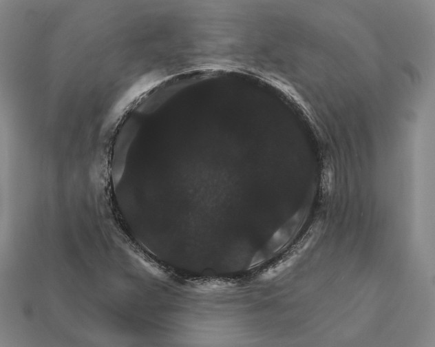 X0000112431359200909111022