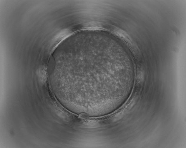X0000112431361200909111022