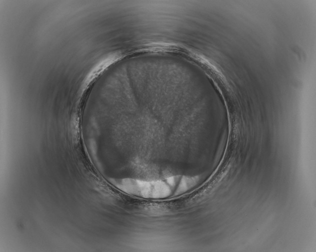 X0000112431362200909111022