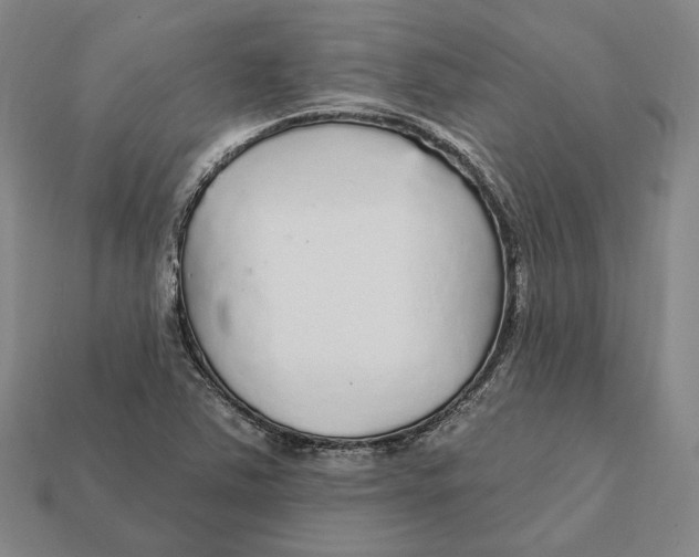 X0000112431363200909111022