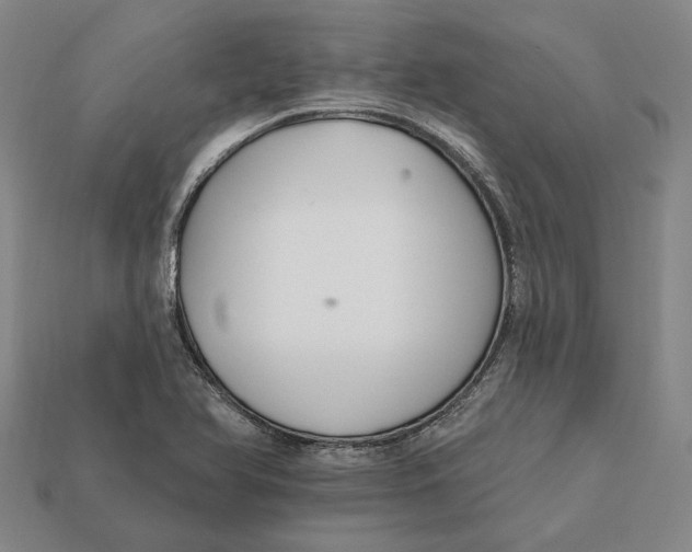 X0000112431366200909111021