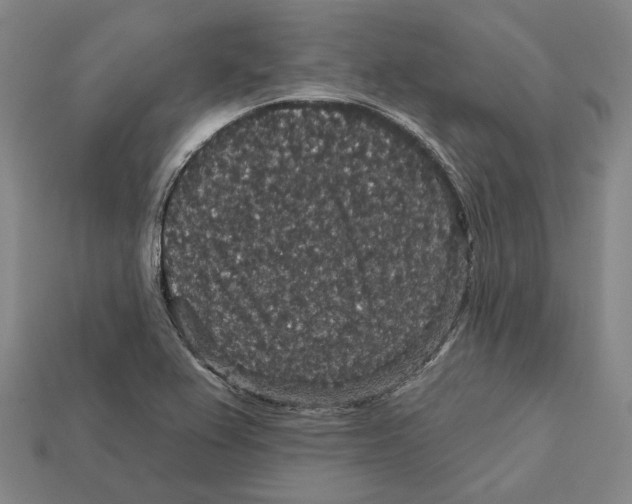 X0000112431367200909111021