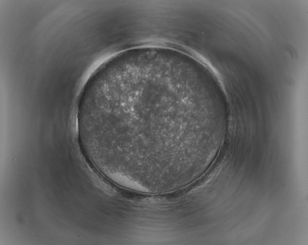 X0000112431368200909111021