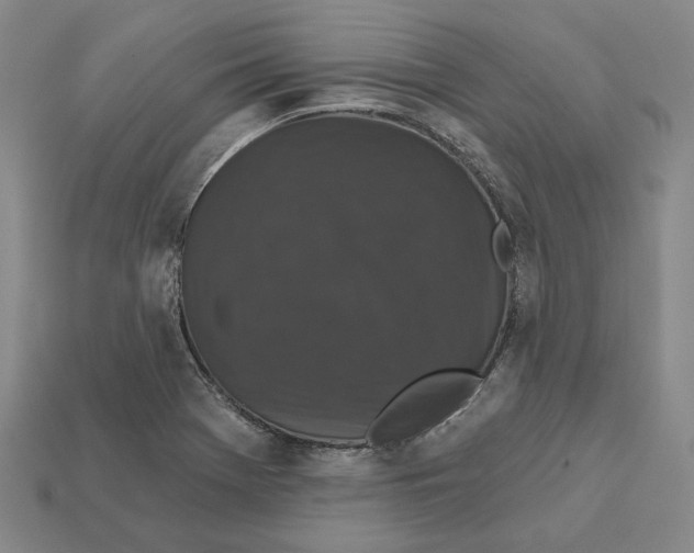 X0000112431369200909111021