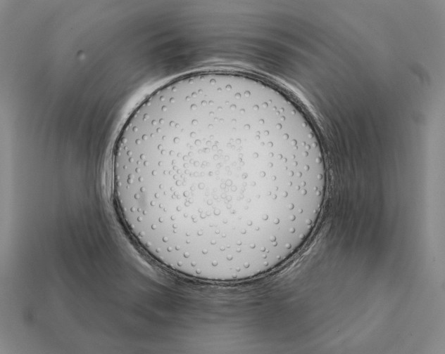 X0000112431371200909111021