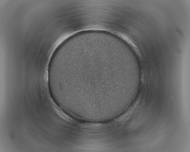 X0000112431372200909111021