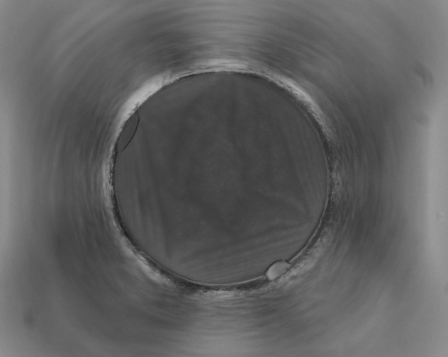 X0000112431373200909111021