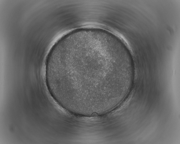 X0000112431376200909111021