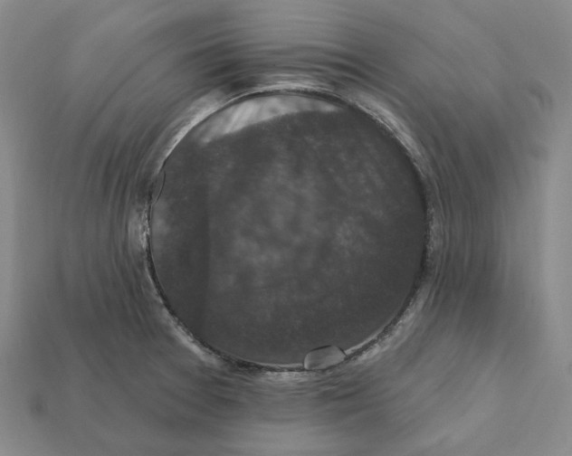 X0000112431377200909111021