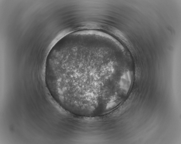 X0000112431378200909111021