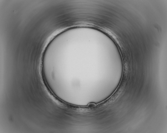 X0000112431379200909111021