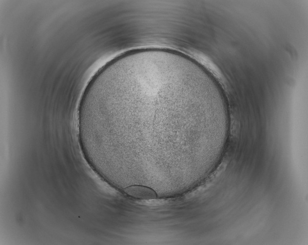 X0000112431380200909111021