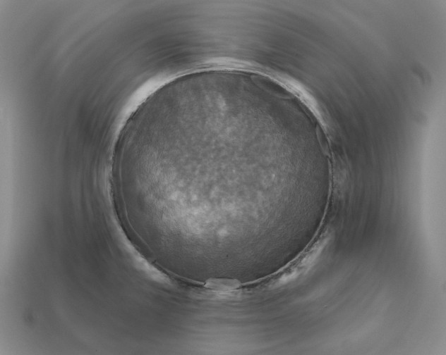X0000112431381200909111021