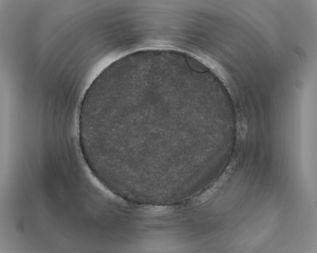 X0000112431382200909111021