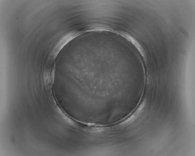 X0000112431385200909111021