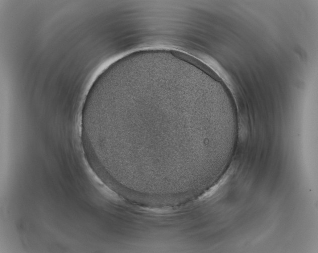 X0000112431388200909111021