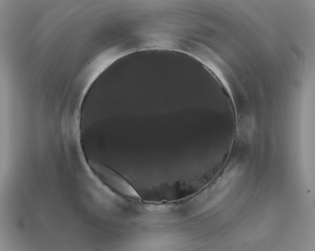 X0000112431389200909111021